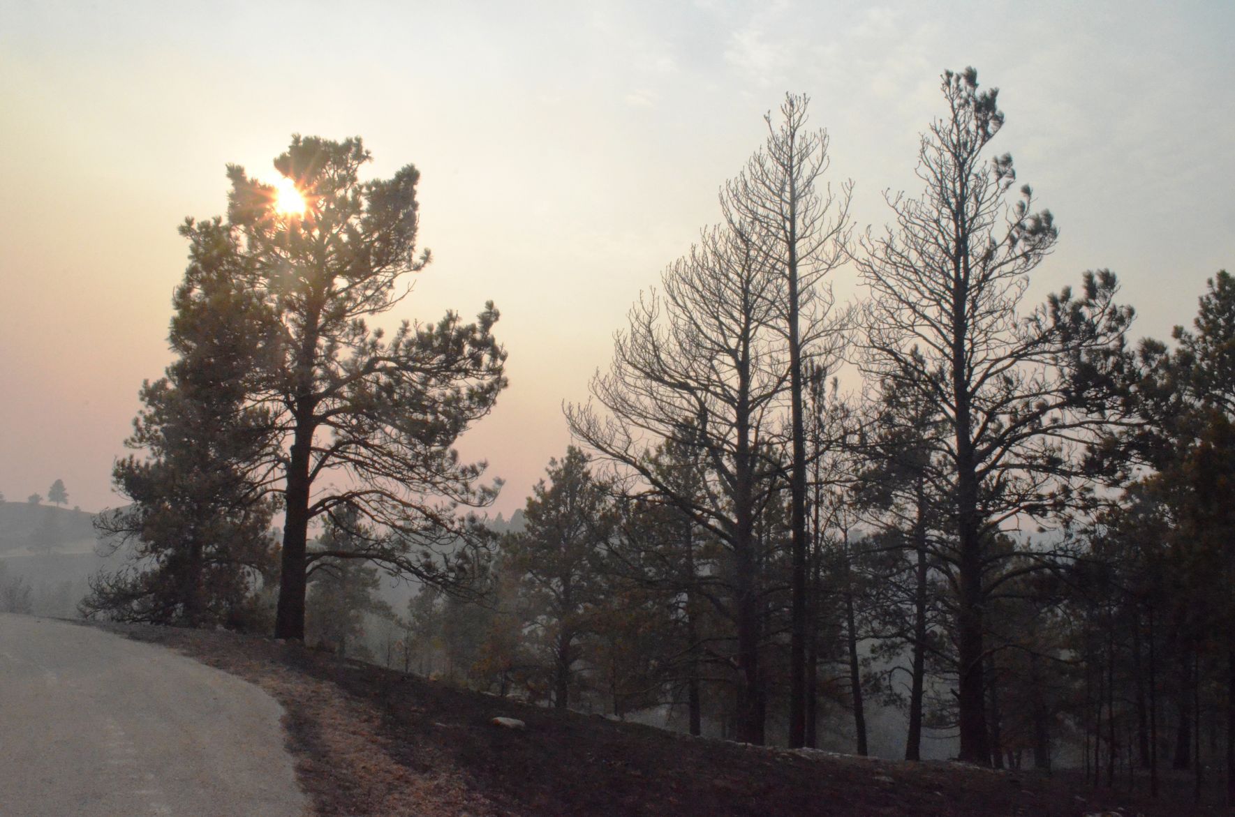 Legion Lake Fire 6